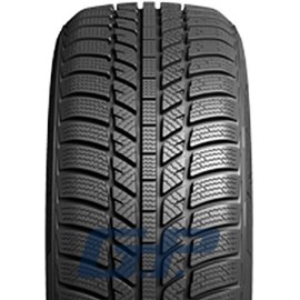 185/65R15 T EW62 Evergreen téli gumi